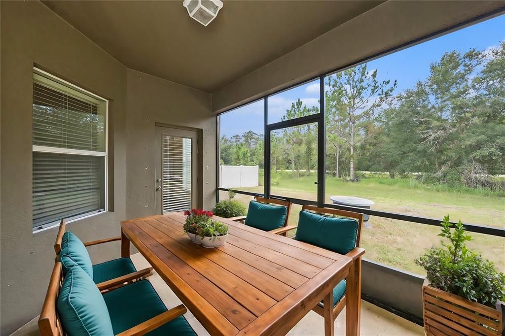 12117 Streambed Dr, Riverview, FL 33579 - Screened lanai - Virtually Staged