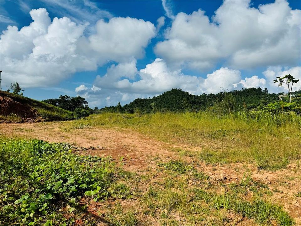 En Venta: $95,000 (1.06 acres)