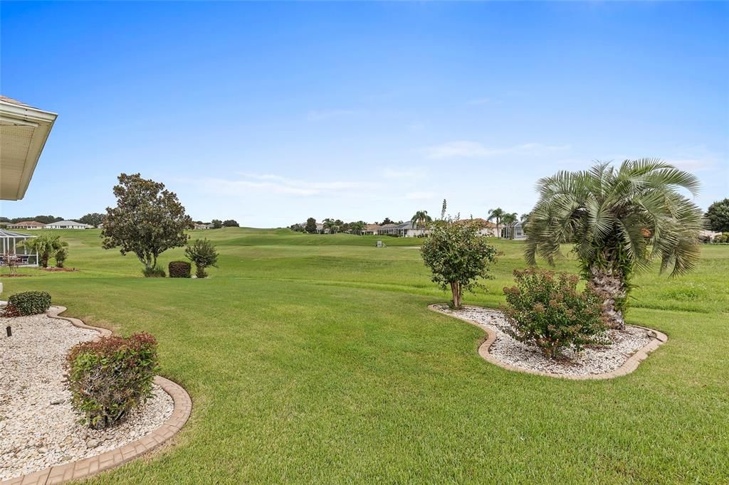 LANDSCAPING and VIEW IN BACKYARD