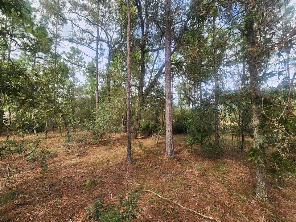 En Venta: $45,000 (0.56 acres)