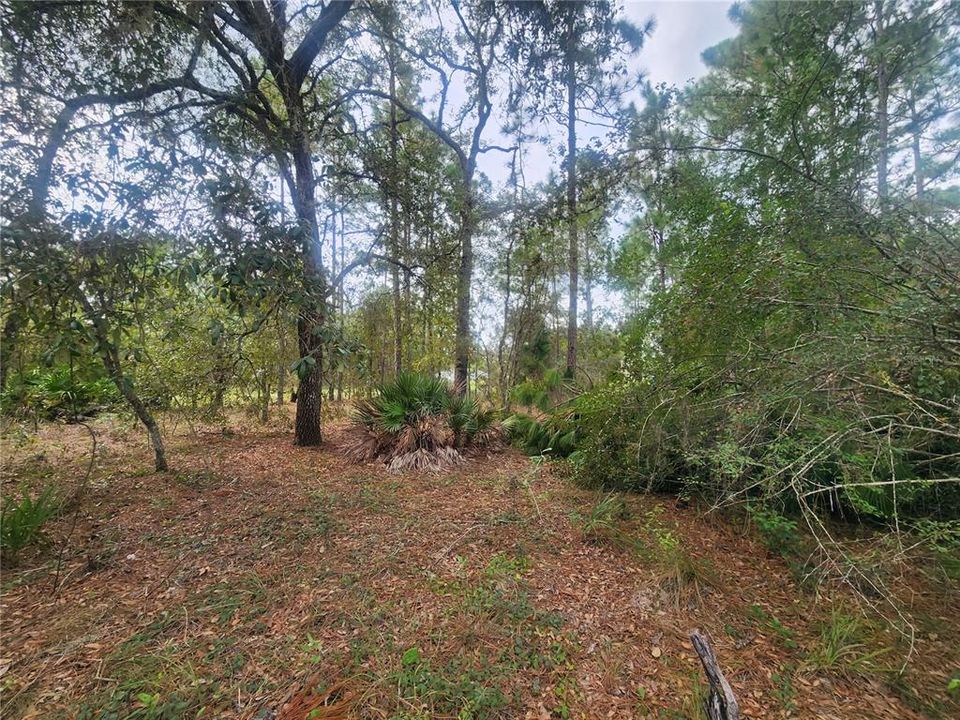 En Venta: $45,000 (0.56 acres)