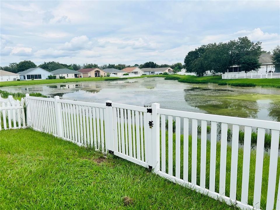 Pond View