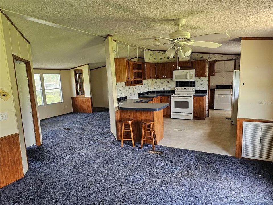 kitchen/dining room view