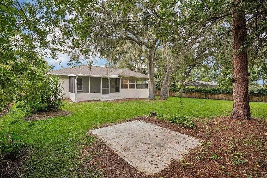 Spacious backyard