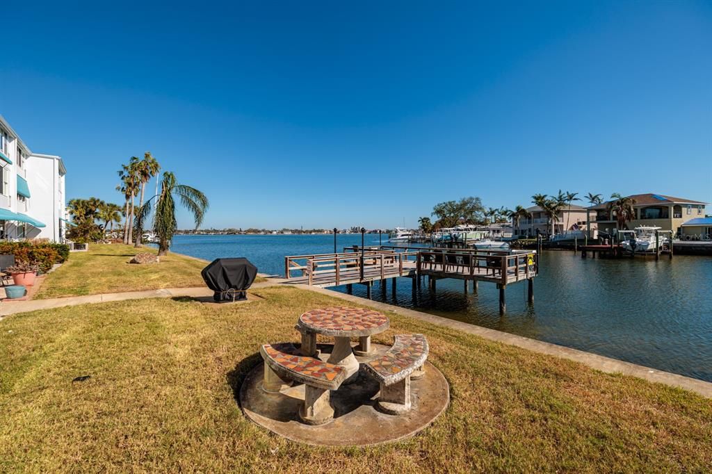 Picnic table & fishing pier. Gas outdoor grill.