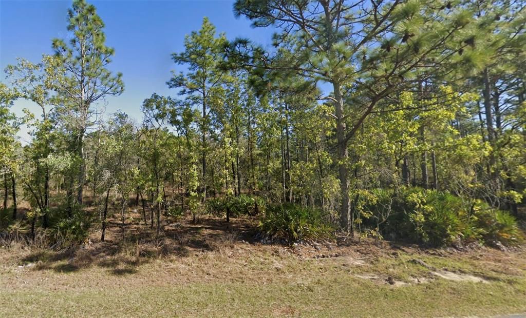 For Sale: $55,000 (0.92 acres)