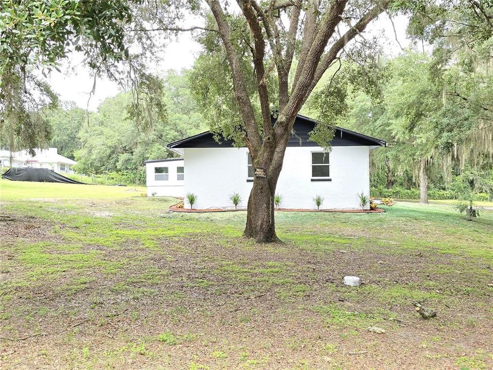 For Sale: $425,000 (3 beds, 2 baths, 1232 Square Feet)