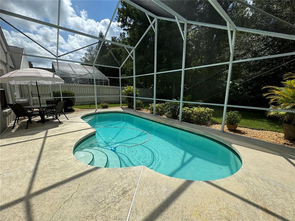 Screened In Pool