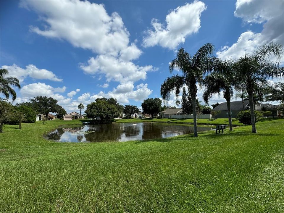 Pond View