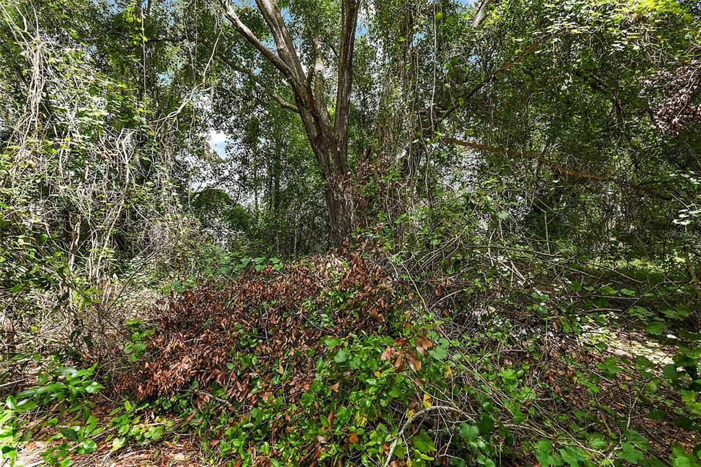 En Venta: $72,500 (0.40 acres)