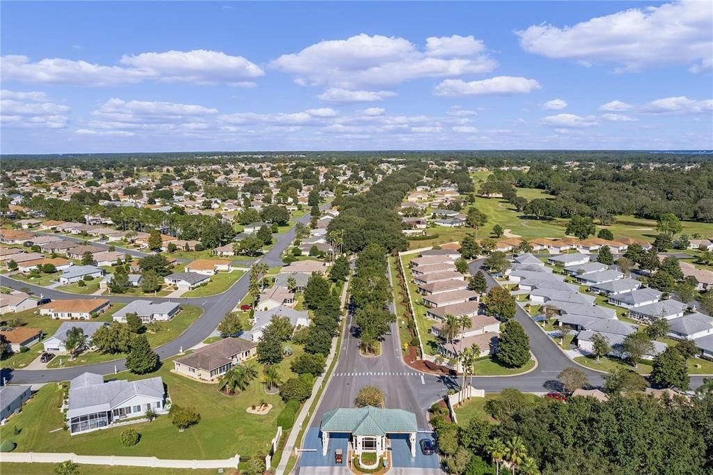 Tree Lined Boulevard