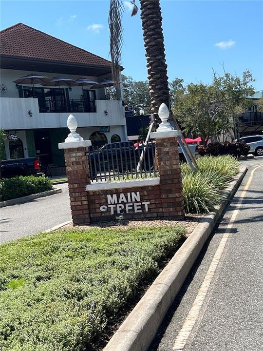 historic Main Street in downtown Dunedin