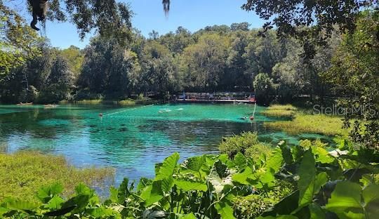 Local Springs