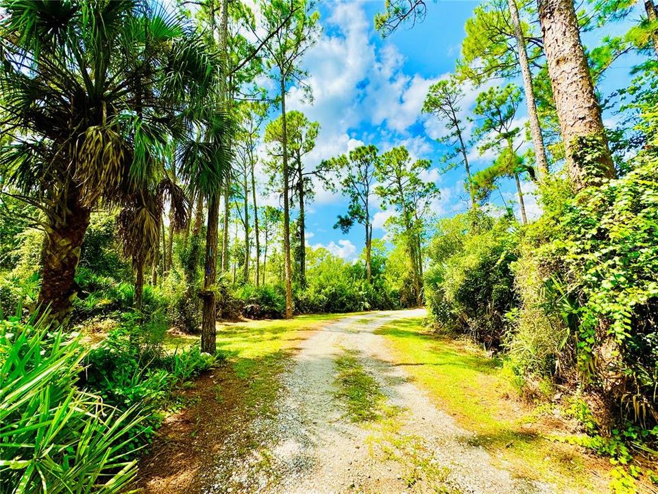 Driveway when leaving