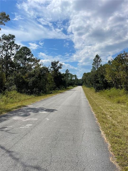 The Street in front of the lot2