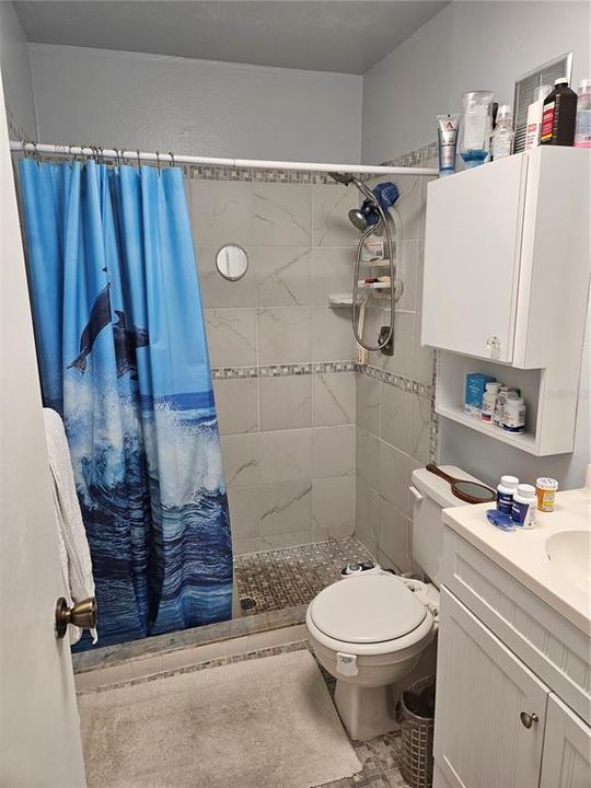 Master Bathroom Shower