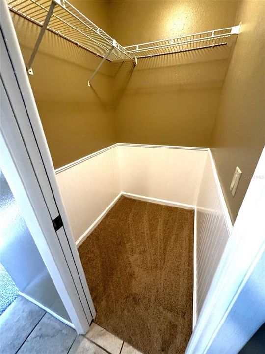 primary closet with carpet, whichever you desire