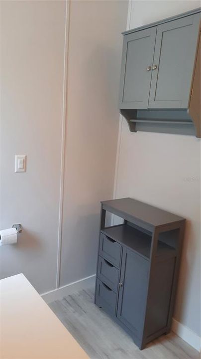 Cabinets in main bathroom