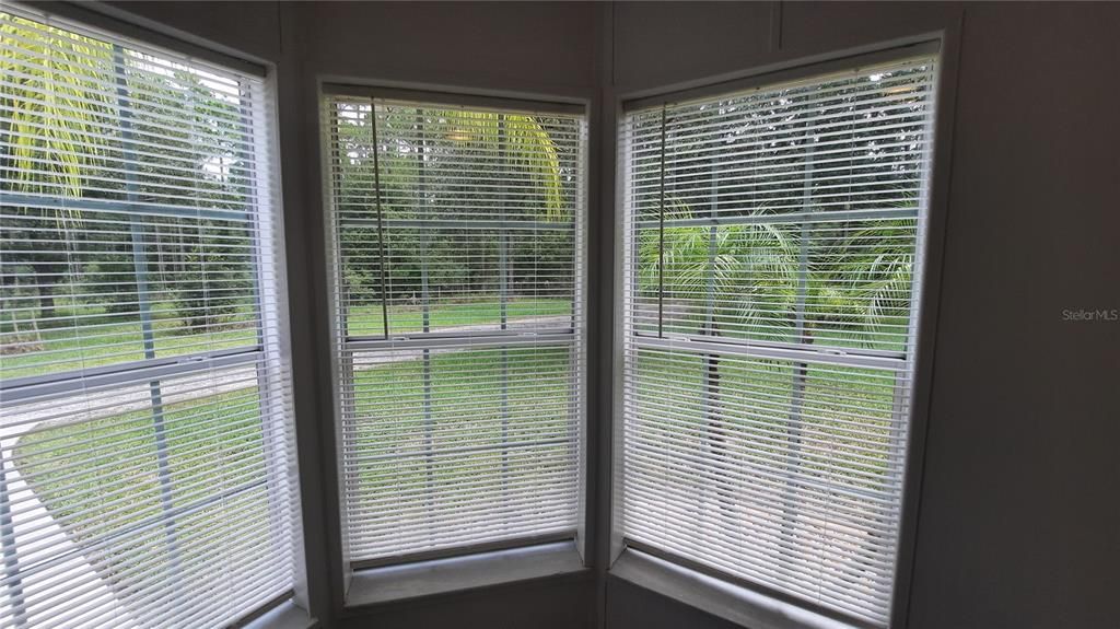 Windows in breakfast nook