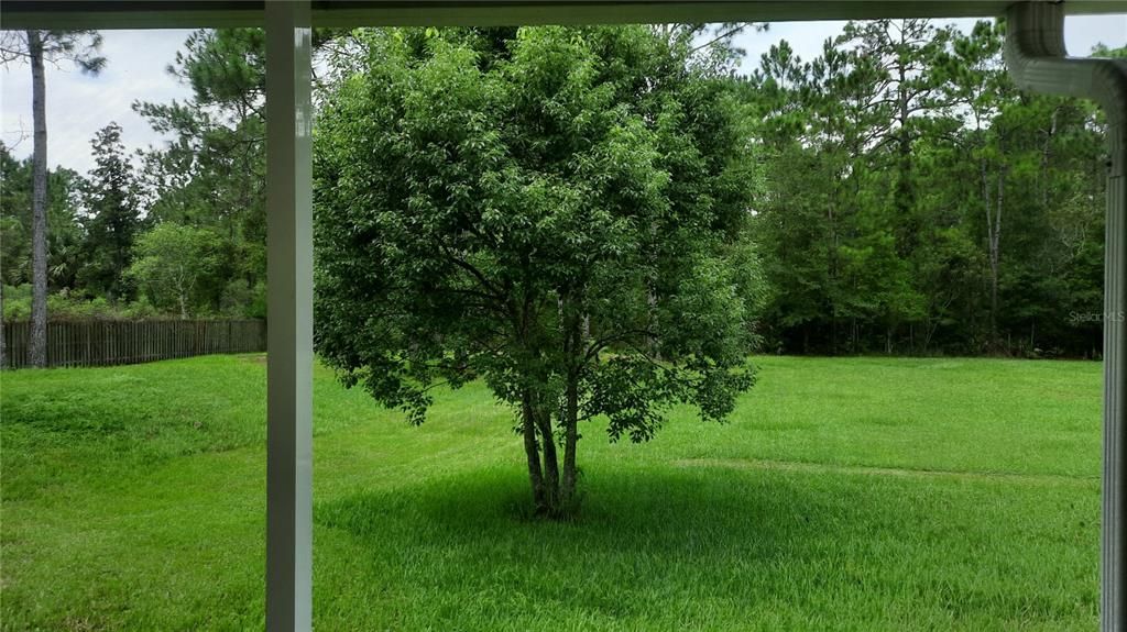 Panoramic view  from rear porch