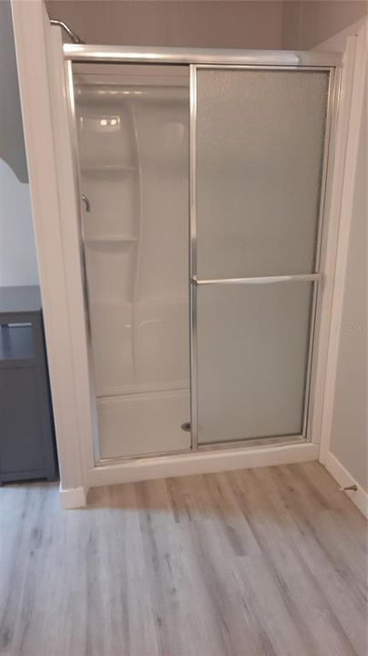 Shower cabin in main bathroom