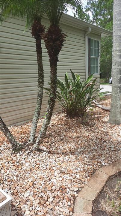 Landscaping near the house