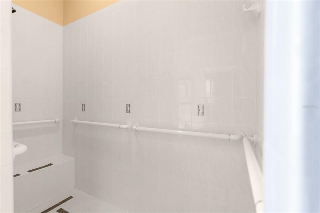 Master walk-in shower