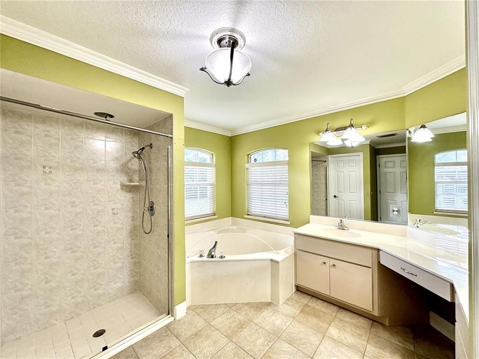 Primary bathroom - shower and garden tub