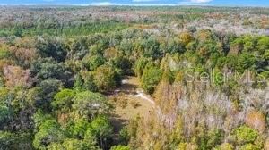 For Sale: $775,000 (31.10 acres)