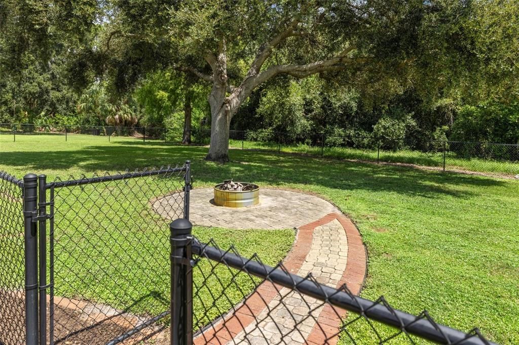 chainlinked fenced backyard