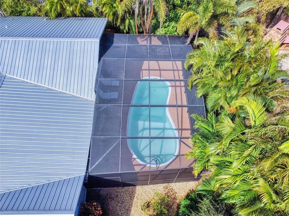 Variety of Palms around pool afford privacy