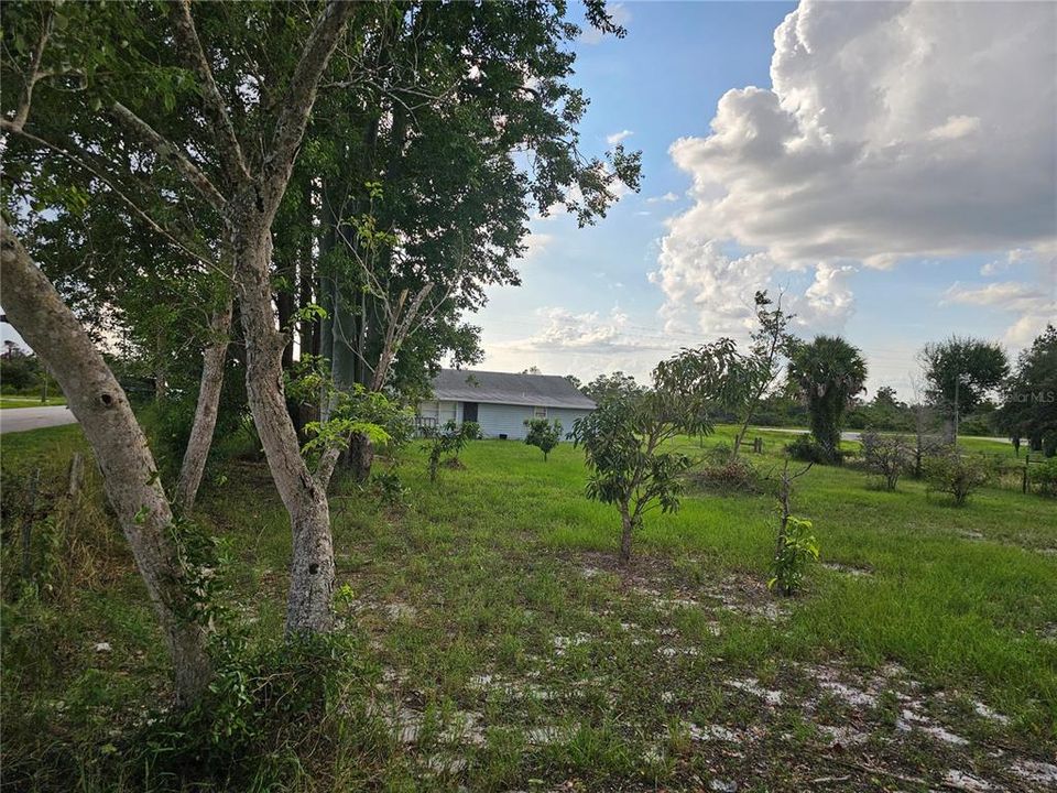 Trees in the backyard, spacious for your other buildings or projects.