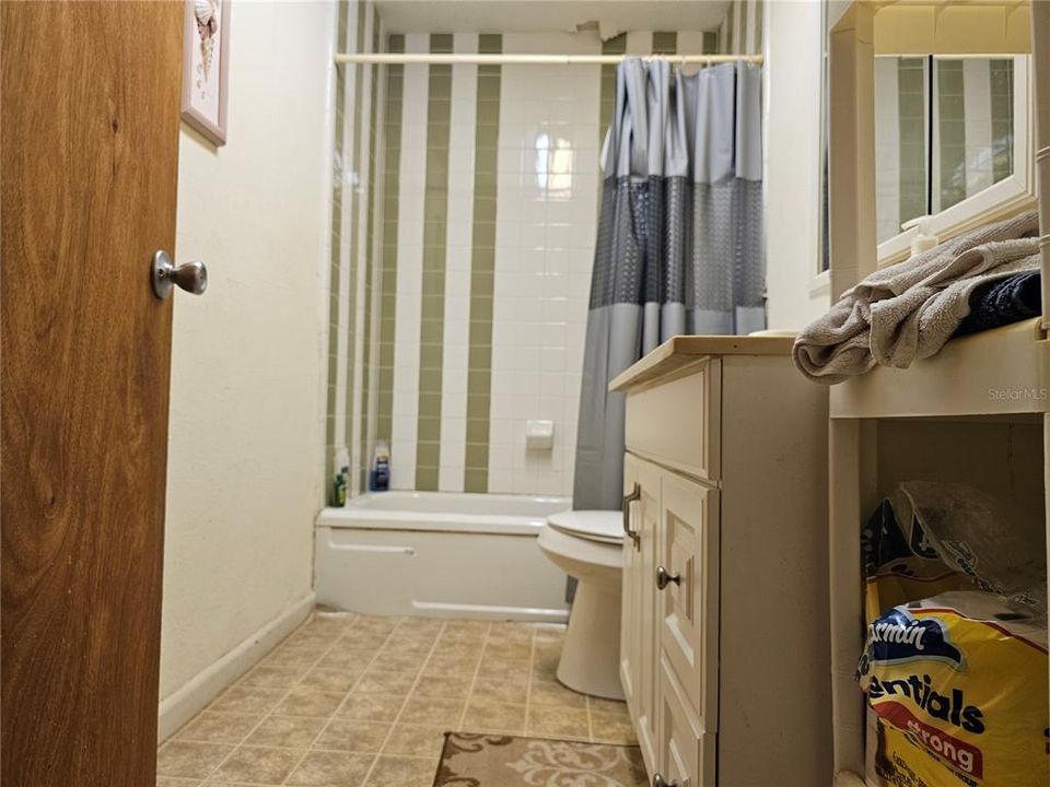 tub in guest bath