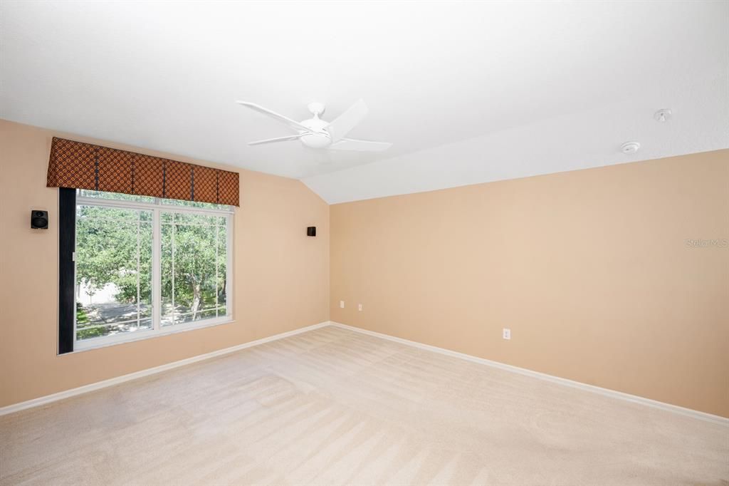 Bonus room with tinted window and surround sound theatre system