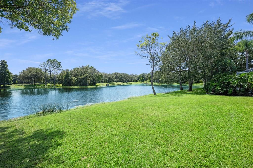 Pond View behind house. What a place to watch nature!