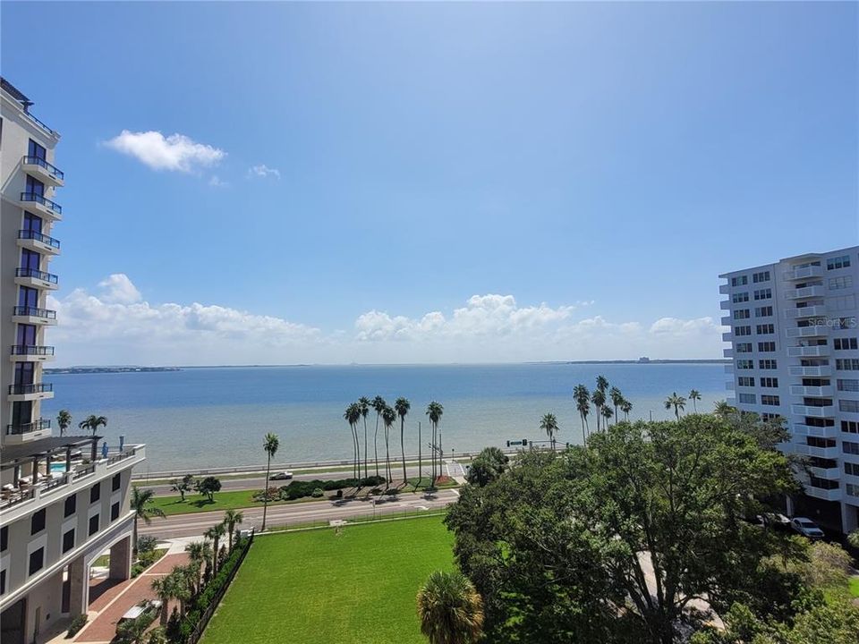 Fantastic View of Bayshore Blvd and Tampa Bay