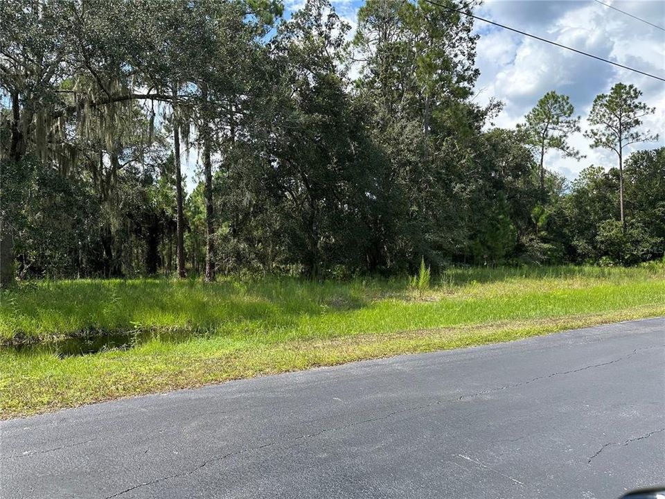 Active With Contract: $185,000 (1.22 acres)