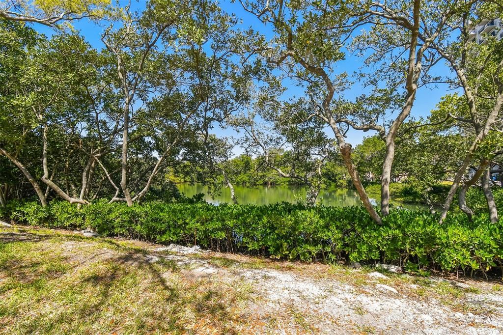 Beautiful Kayak Launch on Property