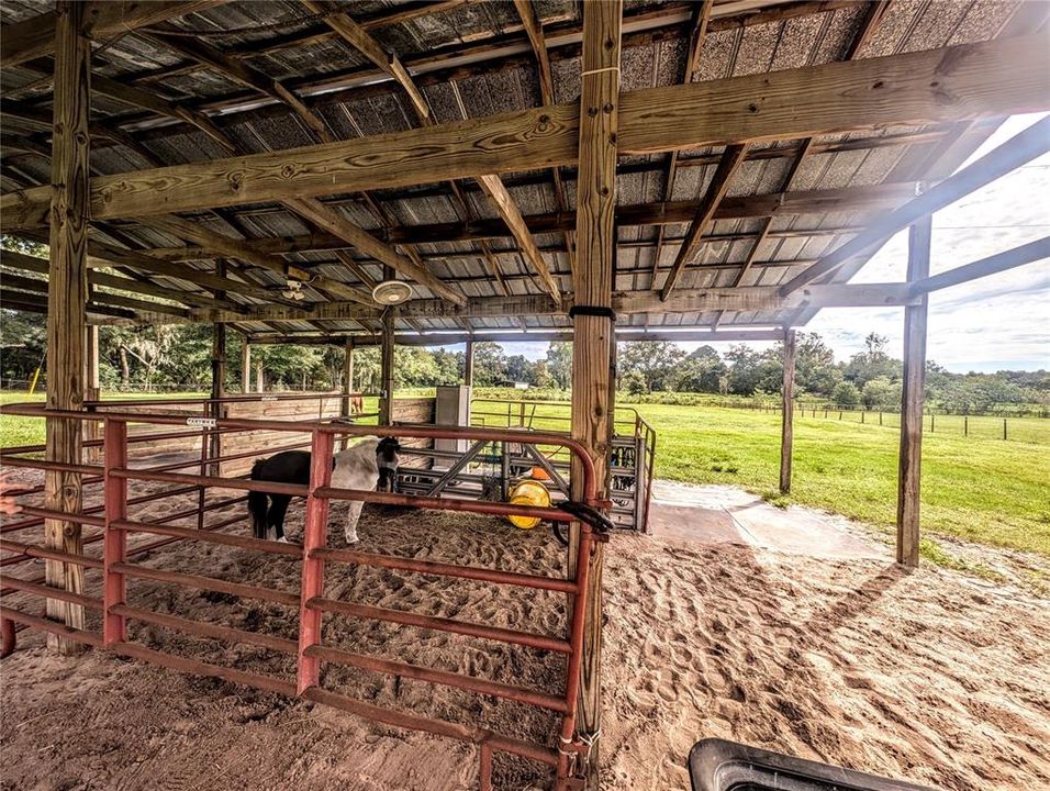 Pole Bar in East Pasture