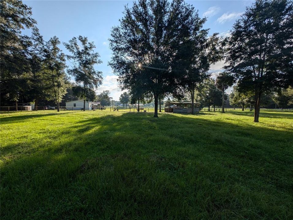 View of West Pasture towards 4 stall