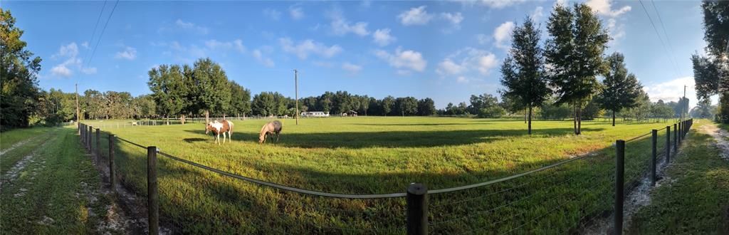 Panoramic view of East Pasture from entry road to property