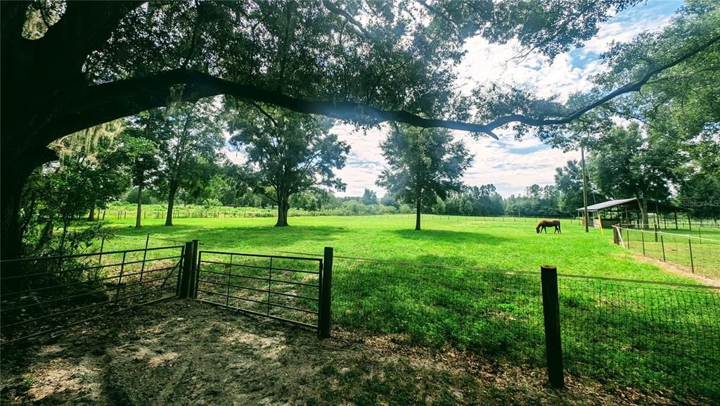 View of East Pasture and Pole Barn from North side of property