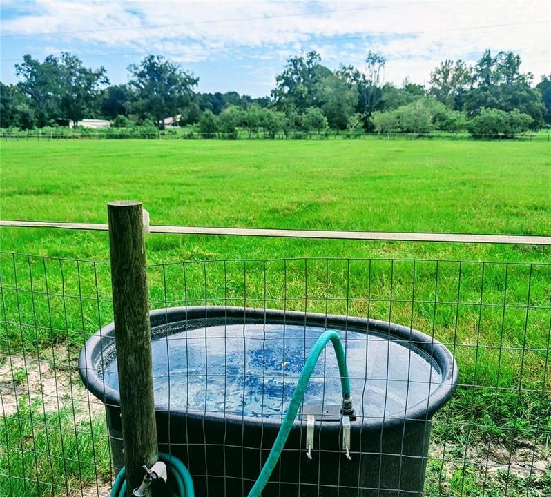 Various water sources throughout property. View of East Pasture