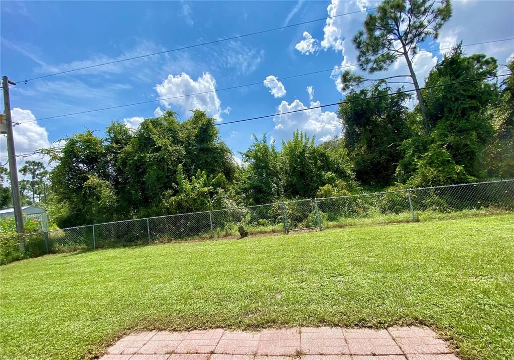 View Out the Lanai, the Vacant Lot Behind.....