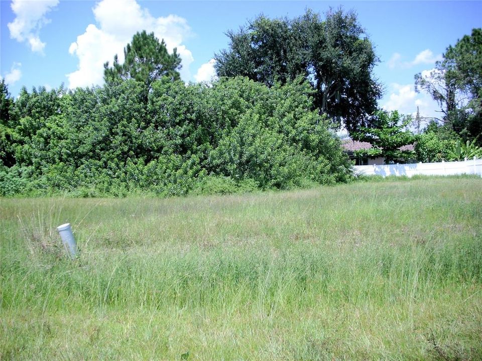 Fence belongs to the rear Neighbor.