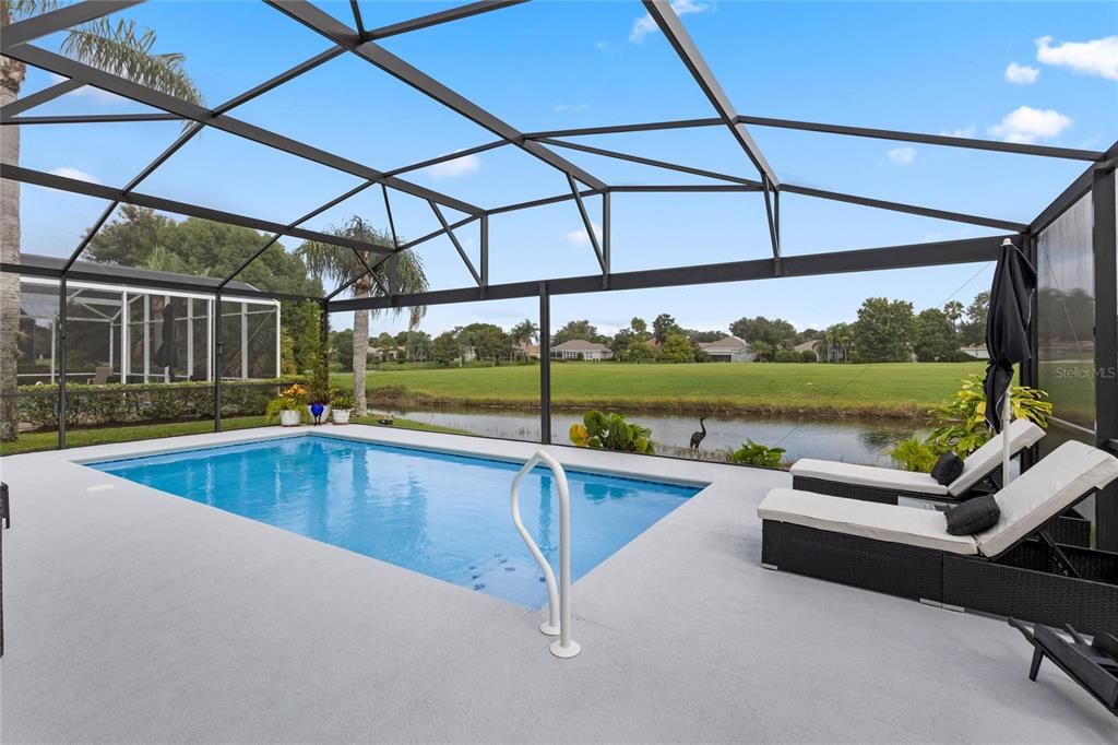 In-Ground Pool overlooking the Pond.