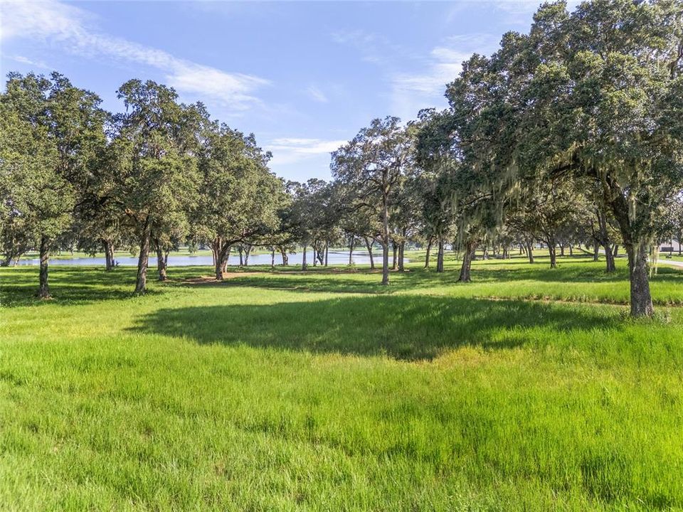 For Sale: $789,987 (16.81 acres)