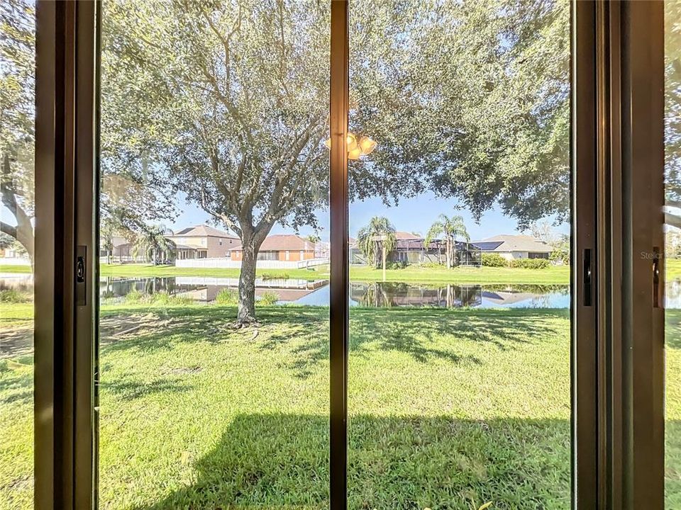 Spacious back yard showing the peacefulness of the neighborhood.