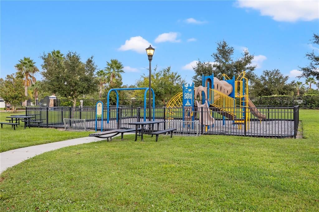 Amenity Center Playground #2