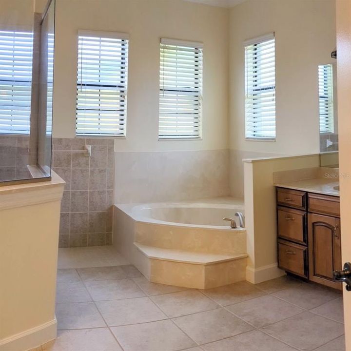 Primary bathroom features dual sinks and wood cabinets and garden tub